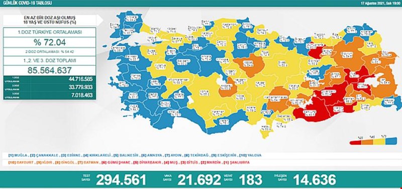 TÜRKİYE'DE KORONA VİRÜS TABLOSU