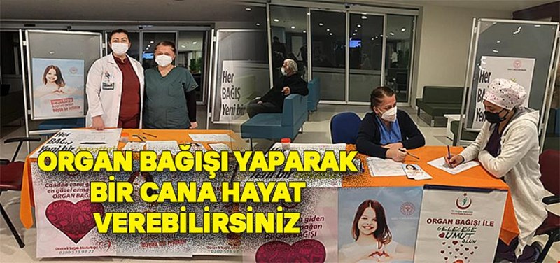 YENİ BİR YAŞAMI ARMAĞAN EDEBİLİRSİNİZ