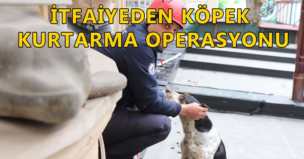 ÇATIDA MAHSUR KALAN KÖPEK KURTARILDI